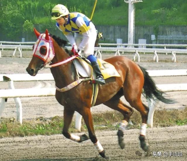 开云体育下载APP-赛马界知名赛马乌拉拉去世