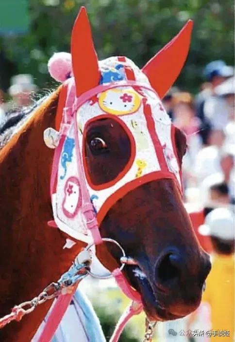 开云体育下载APP-赛马界知名赛马乌拉拉去世