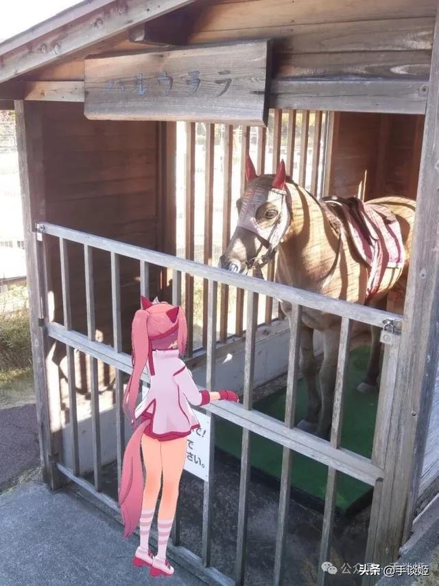 开云体育下载APP-赛马界知名赛马乌拉拉去世