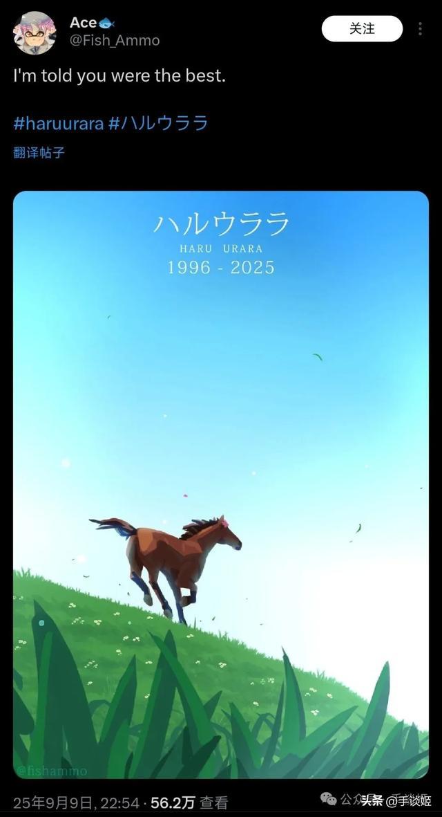 开云体育下载APP-赛马界知名赛马乌拉拉去世