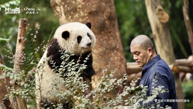 开云体育下载入口-就让成都一直“漂”！“川超”新梗又来了……